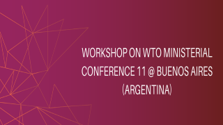 Workshop on WTO Ministerial Conference 11 @ Buenos Aires (Argentina)