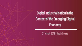 Digital Industrialisation in the Context of the Emerging Digital Economy   