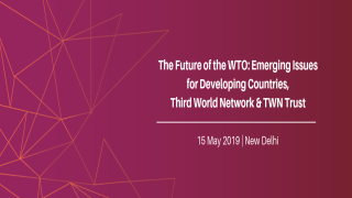 The Future of the WTO: Emerging Issues for Developing Countries