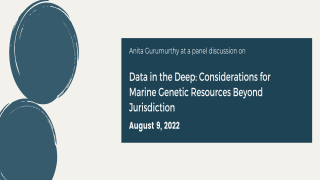 Data in the Deep: Considerations for Marine Genetic Resources Beyond Jurisdiction