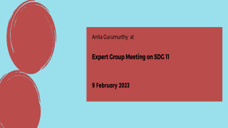 Expert Group Meeting on SDG 11
