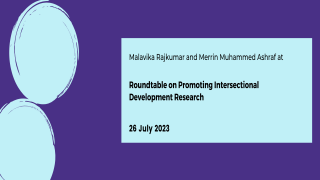 Promoting Intersectional Development Research Roundtable