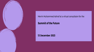 Summit of the Future