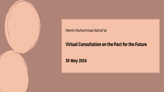 Virtual Consultation on the Pact for the Future