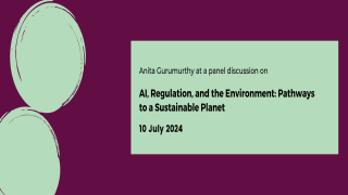 AI, Regulation, and the Environment: Pathways to a Sustainable Planet